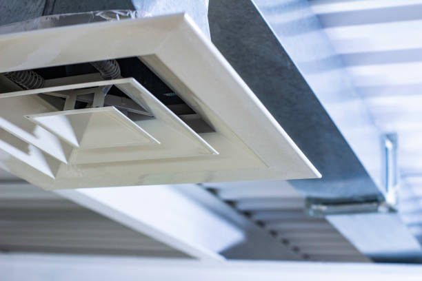 Best Affordable Air Duct Cleaning  in La Huerta, NM