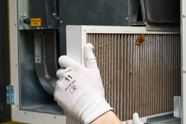 Best Affordable Duct Cleaning Services  in La Huerta, NM