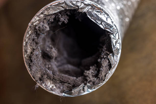Best Air Duct Cleaning Near Me  in La Huerta, NM